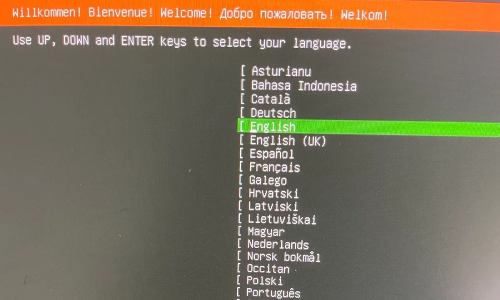 Ubuntu installation screen 4